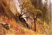 Albert Bierstadt Landscape Study, Yosemite California oil painting on canvas